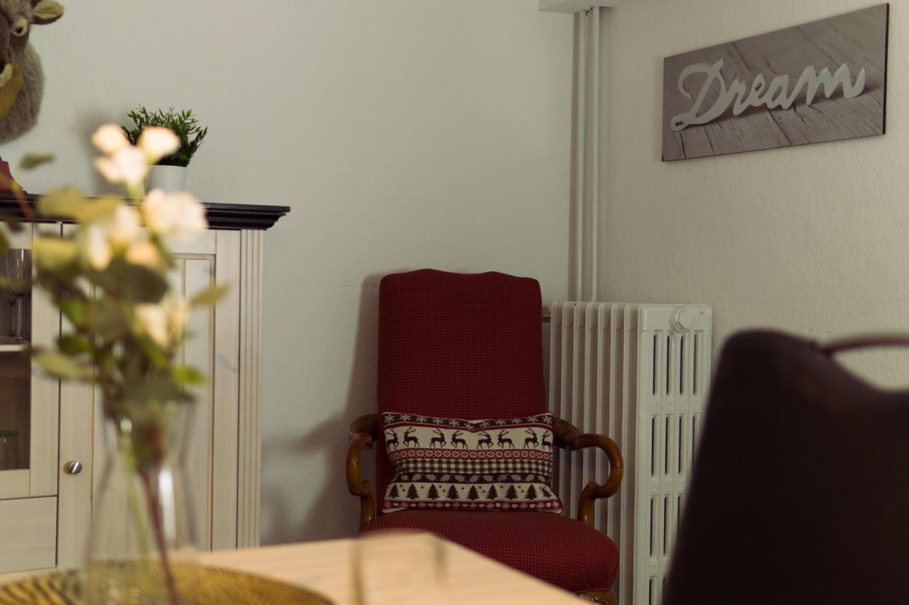 Apartment Hirsch: Wohnung Fuer Die Ganze Familie Mit Disney+ Braunlage Buitenkant foto